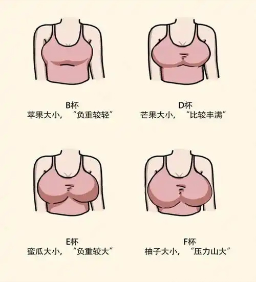 多大才算巨乳症